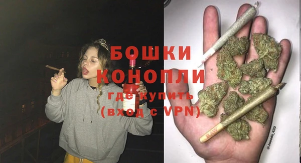 сатива Касимов