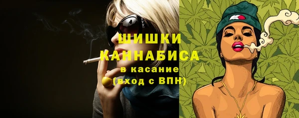 сатива Касимов