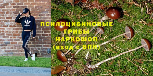 гидропоника Карпинск