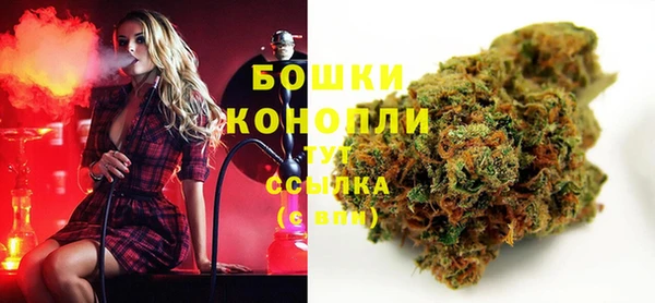 сатива Касимов