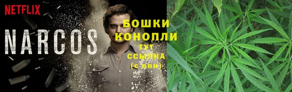 сатива Касимов